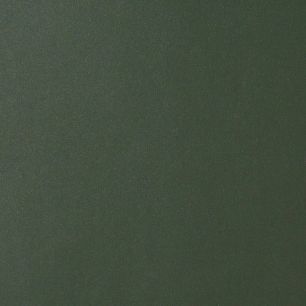 リメイクシート 強力シール壁紙 グリーン (巾122cm×10cm単位の切り売り) STA-4769