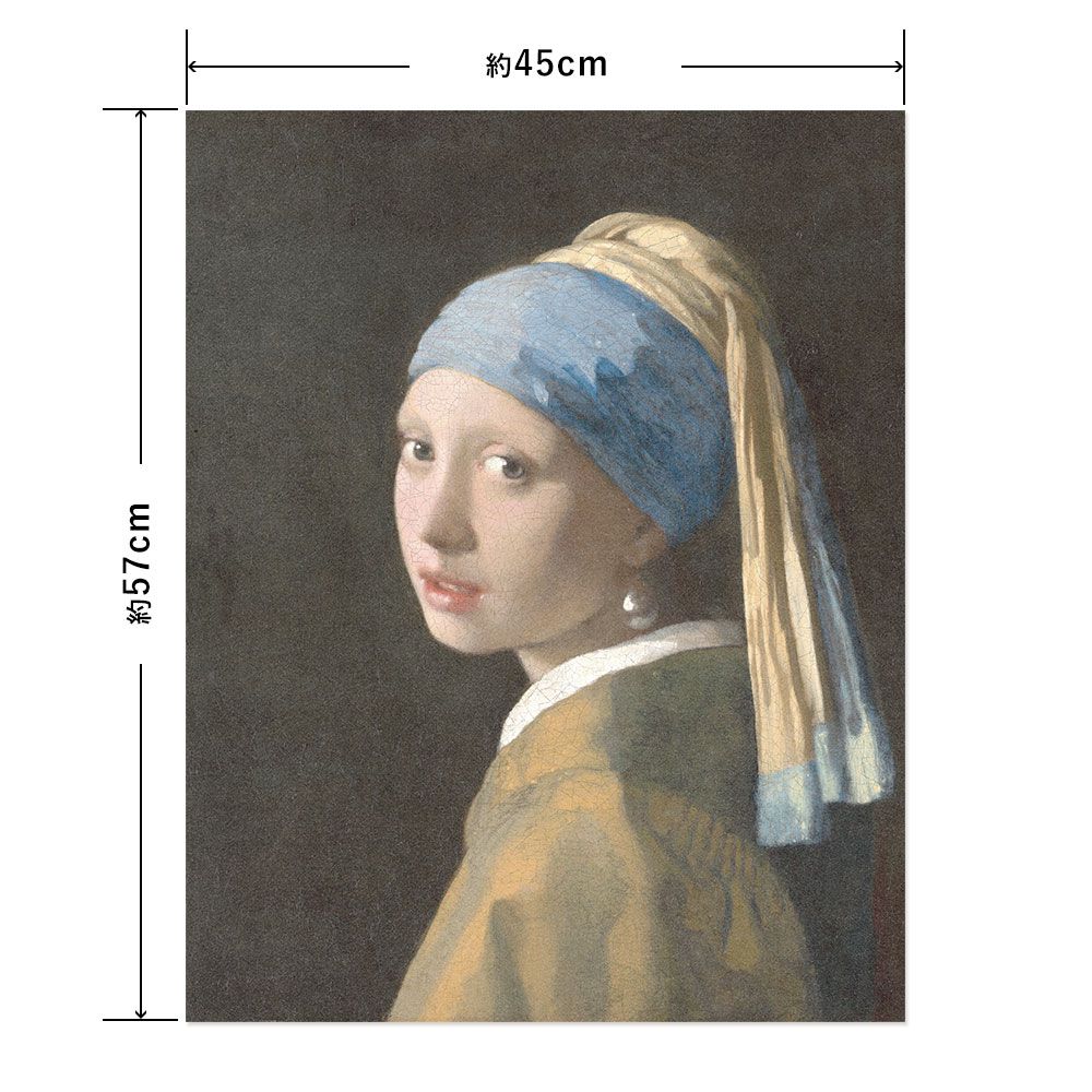 Hattan Art Poster ハッタンアートポスター フェルメール Girl With A Pearl Earring Hp Mサイズ 45cm 57cm 壁紙屋本舗