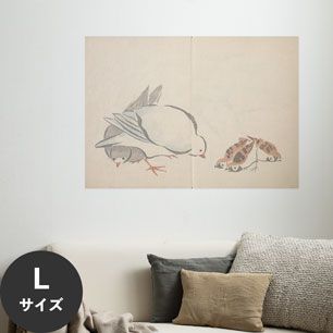 Hattan Art Poster ハッタンアートポスター 光琳画譜 鳩に雀 / HP-00143 Lサイズ(90cm×64cm)