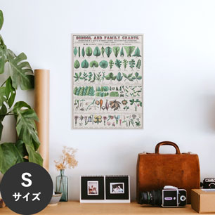 Hattan Art Poster ハッタンアートポスター School and family charts, Botanical / HP-00199 Sサイズ(34cm×45cm)