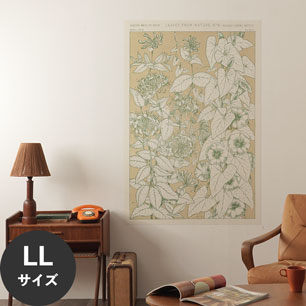 Hattan Art Poster ハッタンアートポスター Leaves from Nature No.9 / HP-00259 LLサイズ(90cm×134cm)