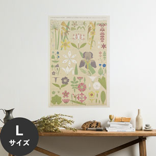 Hattan Art Poster ハッタンアートポスター Leaves and flowers from Nature No.8 / HP-00262 Lサイズ(60cm×90cm)