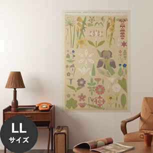 Hattan Art Poster ハッタンアートポスター Leaves and flowers from Nature No.8 / HP-00262 LLサイズ(90cm×134cm)