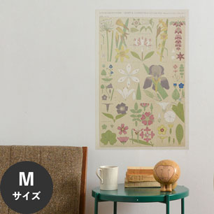 Hattan Art Poster ハッタンアートポスター Leaves and flowers from Nature No.8 / HP-00262 Mサイズ(45cm×67cm)