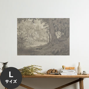 Hattan Art Poster ハッタンアートポスター Forest Scenery near Tamana / HP-00428 Lサイズ(90cm×64cm)
