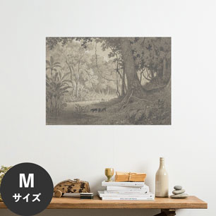 Hattan Art Poster ハッタンアートポスター Forest Scenery near Tamana / HP-00428 Mサイズ(64cm×45cm)
