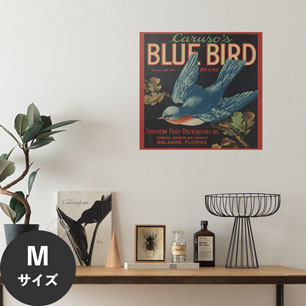 Hattan Art Poster ハッタンアートポスター Caruso’s Blue Bird Brand Fruit Label / HP-00478 Mサイズ(47cm×45cm)