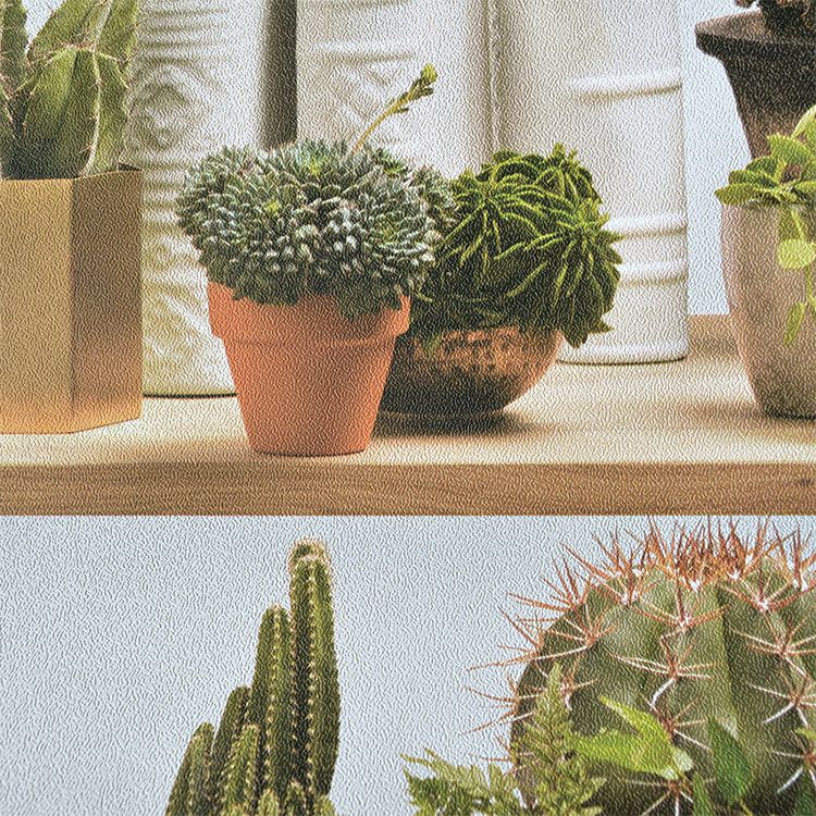輸入壁紙 Koziel コジエル Stylized Cactus On Shelves Wallpaper サボテン 402 壁紙 屋本舗