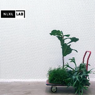 輸入壁紙 NLXL LAB PARTICLES WALLPAPER BY TRULY TRULY / TTY-01 WHITE