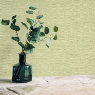 破れにくい壁紙 のり付きタイプ 道具セットタイプ / グリーンセレクション / ワサビ Wasabi 700466