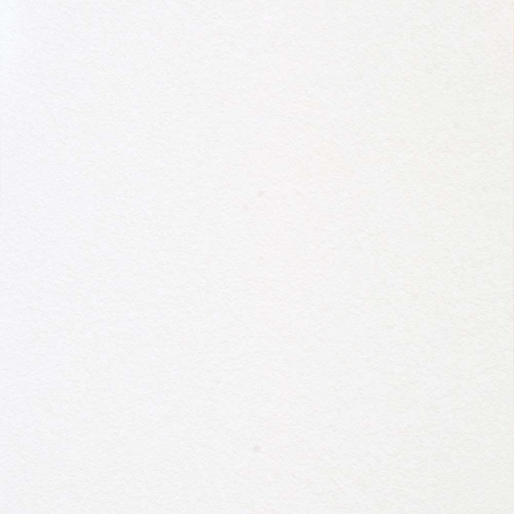 【サンプル】国産壁紙 クロス / モリスセレクション SLW-4629