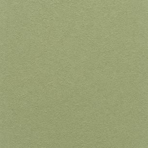 【サンプル】 国産壁紙 クロス / グリーンセレクション BB-8356