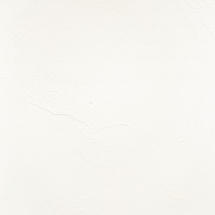 【サンプル】 国産壁紙 クロス / 抗アレルセレクション FE-76339