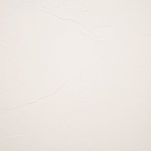 【サンプル】国産壁紙クロス / 抗アレル グレージュセレクション FE-76341