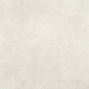 【サンプル】国産壁紙 クロス / コンクリートセレクション きれいめコンクリート / キズや汚れに強い ペット用 FE-76409