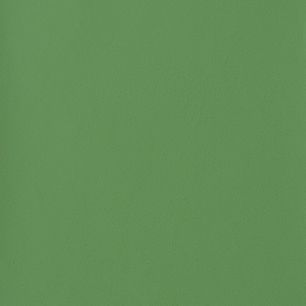 【サンプル】 国産壁紙 クロス / グリーンセレクション WVP-4421