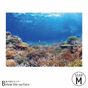 【鍵井 靖章 Yasuaki Kagii】海の景色ポスター Below the surface M No.6