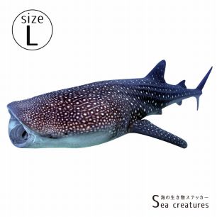 【鍵井 靖章 Yasuaki Kagii】海の生き物ステッカー Sea creatures L ジンベイザメ(左向き)