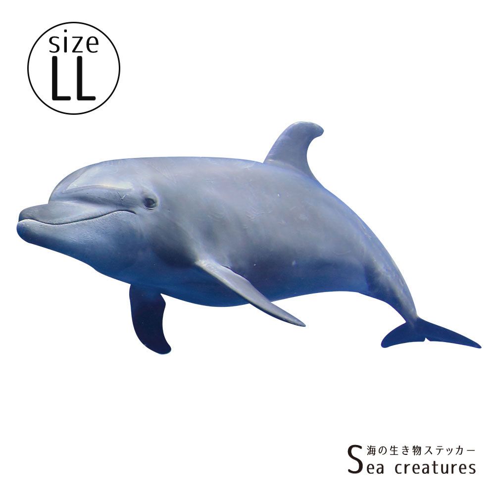 【鍵井 靖章 Yasuaki Kagii】海の生き物ステッカー Sea creatures LL バンドウイルカ(左向き)