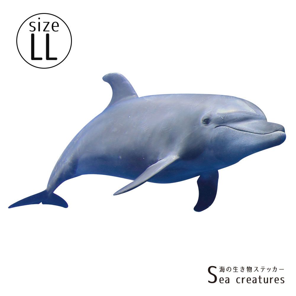【鍵井 靖章 Yasuaki Kagii】海の生き物ステッカー Sea creatures LL バンドウイルカ(右向き)