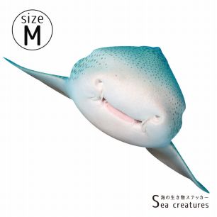 【鍵井 靖章 Yasuaki Kagii】海の生き物ステッカー Sea creatures M トラフザメ