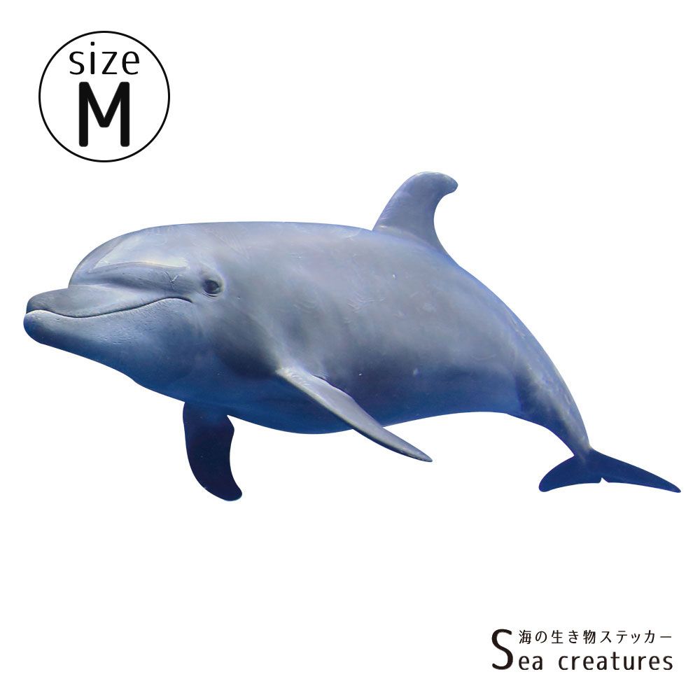 【鍵井 靖章 Yasuaki Kagii】海の生き物ステッカー Sea creatures M バンドウイルカ(左向き)