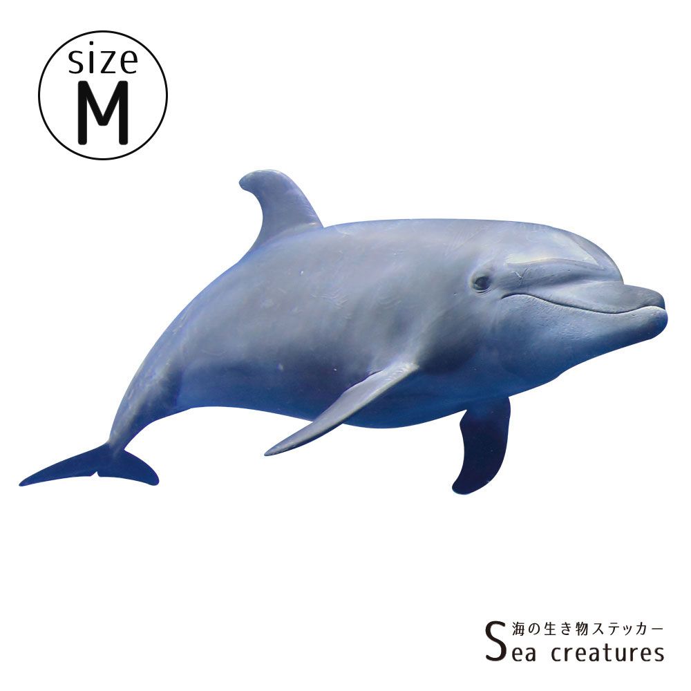 【鍵井 靖章 Yasuaki Kagii】海の生き物ステッカー Sea creatures M バンドウイルカ(右向き)