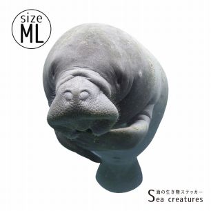 【鍵井 靖章 Yasuaki Kagii】海の生き物ステッカー Sea creatures ML マナティ(左向き)