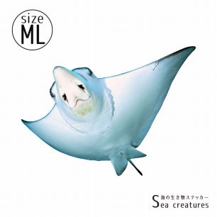 【鍵井 靖章 Yasuaki Kagii】海の生き物ステッカー Sea creatures ML マダラトビエイ(左向き)