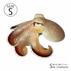 【鍵井 靖章 Yasuaki Kagii】海の生き物ステッカー Sea creatures S メジロダコ(左向き)