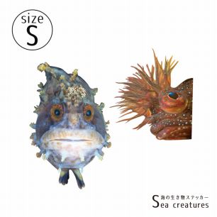 【鍵井 靖章 Yasuaki Kagii】海の生き物ステッカー Sea creatures S フサギンポ&コケギンポ(左向き)