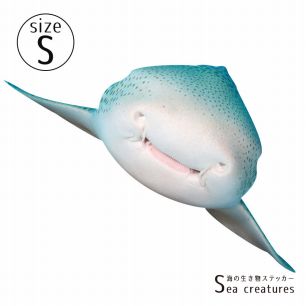 【鍵井 靖章 Yasuaki Kagii】海の生き物ステッカー Sea creatures S トラフザメ