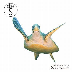 【鍵井 靖章 Yasuaki Kagii】海の生き物ステッカー Sea creatures S タイマイ(左向き)