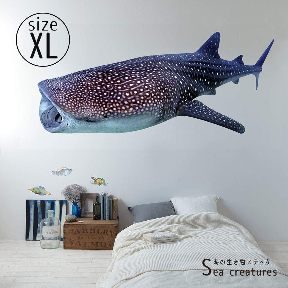 【鍵井 靖章 Yasuaki Kagii】海の生き物ステッカー Sea creatures XL ジンベイザメ(左向き)