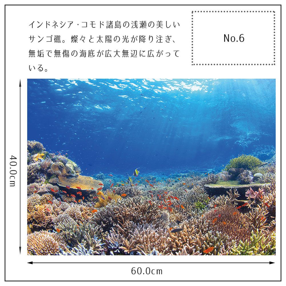 鍵井 靖章 Yasuaki Kagii 海の景色ポスター Below The Surface M No 6 壁紙屋本舗