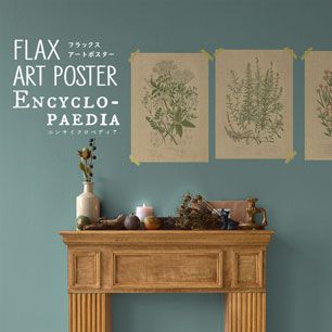 FLAX ART POSTER Encyclopaedia フラックス アートポスター エンサイクロペディア ワイルドフラワーA FWP-AP-EN1A
