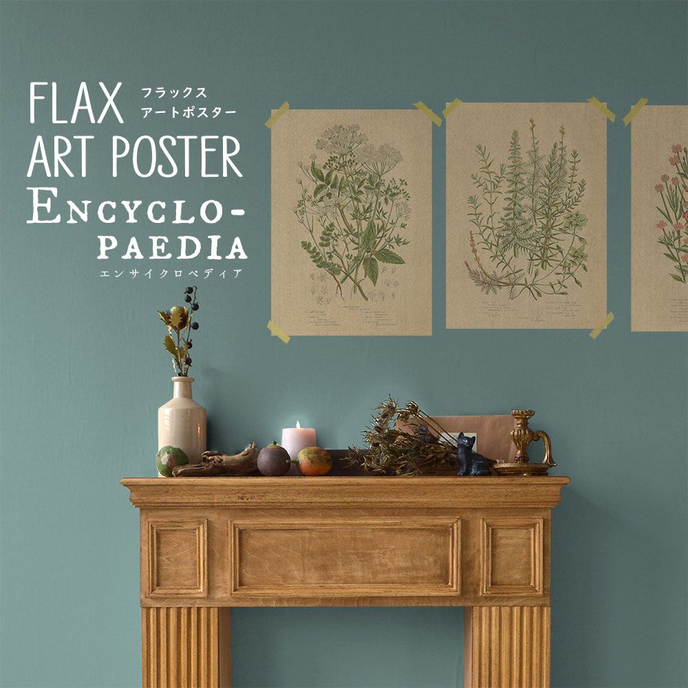 FLAX ART POSTER Encyclopaedia フラックス アートポスター エンサイクロペディア ワイルドフラワーA  FWP-AP-EN1A | 壁紙屋本舗