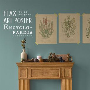 FLAX ART POSTER Encyclopaedia フラックス アートポスター エンサイクロペディア ワイルドフラワーB FWP-AP-EN1B