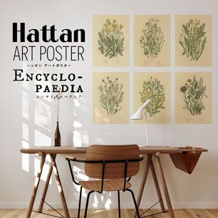 はがせるポスター壁紙 Hattan Art Poster Encyclopaedia ハッタン アートポスター エンサイクロペディア ワイルドフラワー2 HAAP-EN02