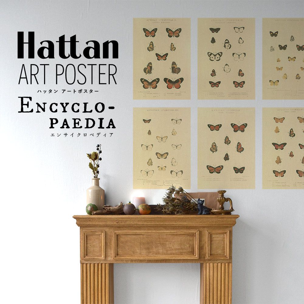 はがせるポスター壁紙 Hattan Art Poster Encyclopaedia ハッタン アートポスター エンサイクロペディア バタフライ2 HAAP-EN04