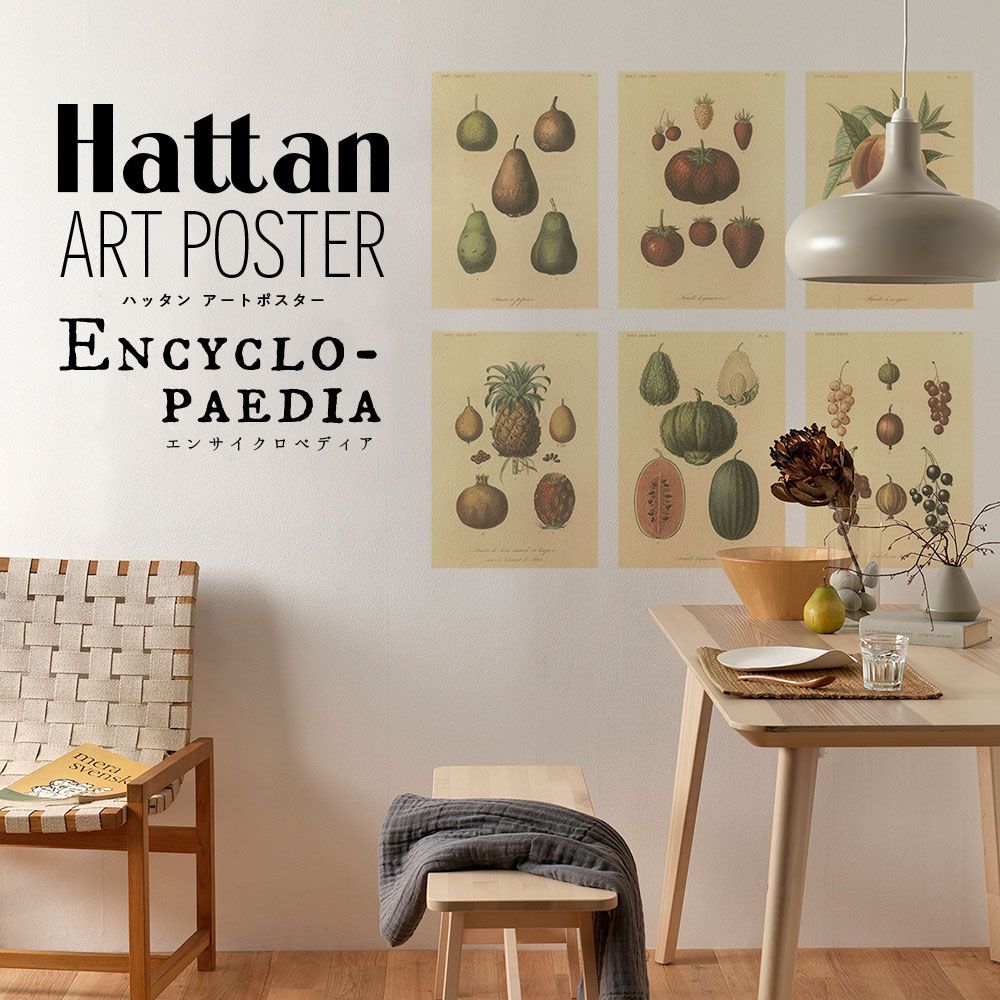はがせるポスター壁紙 Hattan Art Poster Encyclopaedia ハッタン アートポスター エンサイクロペディア フルーツ HAAP-EN05