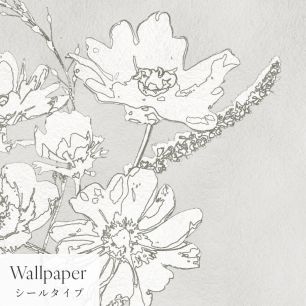 【サンプル】はがせる壁紙 シールタイプ Mon Sucrier 花柄 ブロッサムフレーバー TMS-BF02 ミラージュホワイト