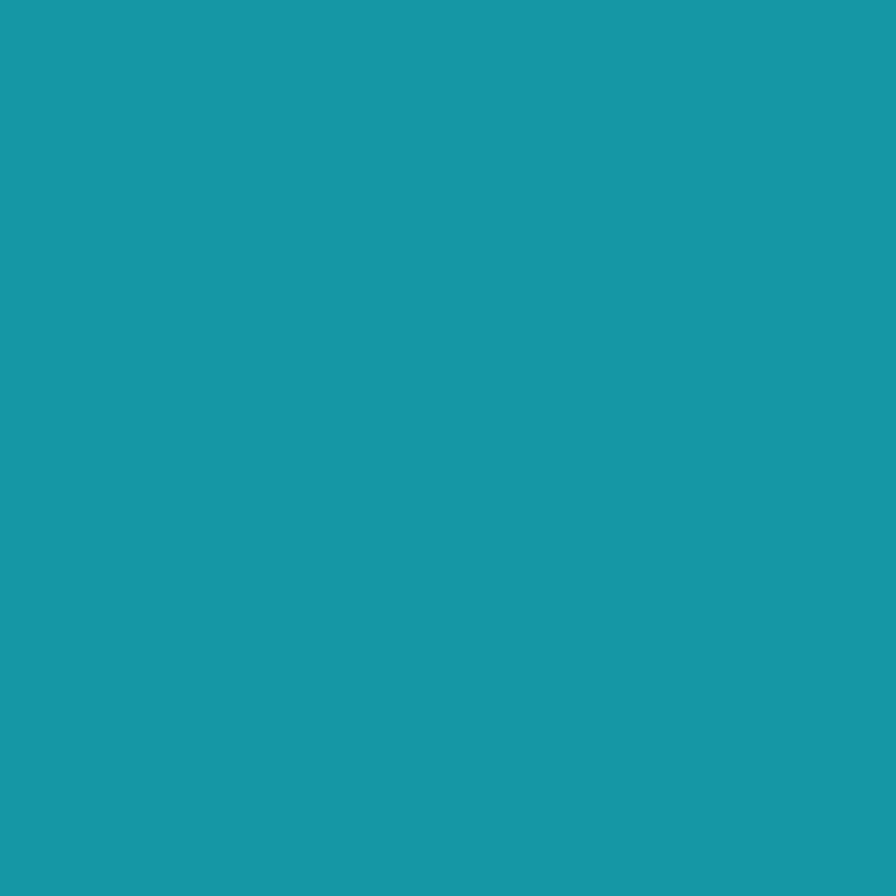 イマジン ウォールペイント ペイントセット15l スタンダードカラー 005 Turquoise Shine ターコイズの輝き 壁紙屋本舗