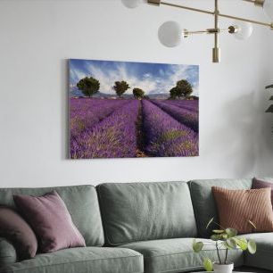 オーダーアートパネル PHOTOWALL / Lavender Field in Provence (e19149)
