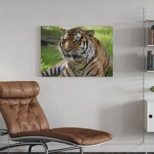 オーダーアートパネル PHOTOWALL / Tiger (e6306)