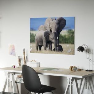 オーダーアートパネル PHOTOWALL / Elephant Family (e6390)