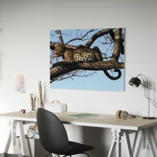 オーダーアートパネル PHOTOWALL / Leopard in Tree (e10004)