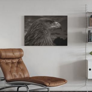 オーダーアートパネル PHOTOWALL / Brown Eagle (e1422)