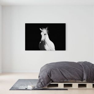 オーダーアートパネル PHOTOWALL / High Contrast Horse (e1482)