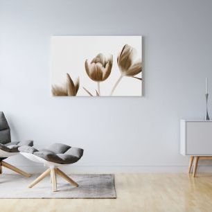 オーダーアートパネル PHOTOWALL / Tulips (e1505)